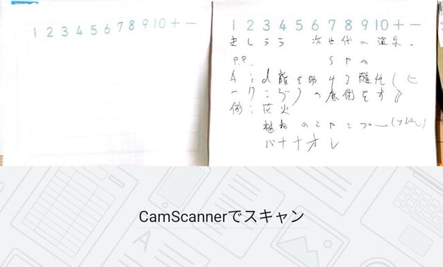 Camscanner_1744720987352.jpg